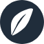 PatientFi logo